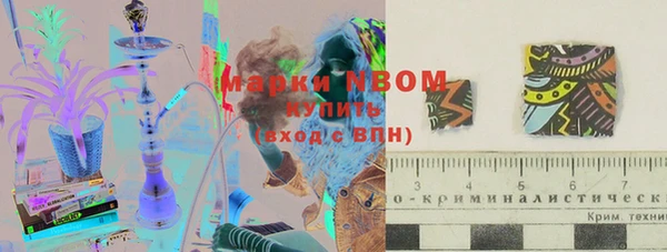 прущие грибы Осинники