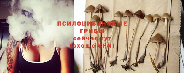 круглые Пересвет