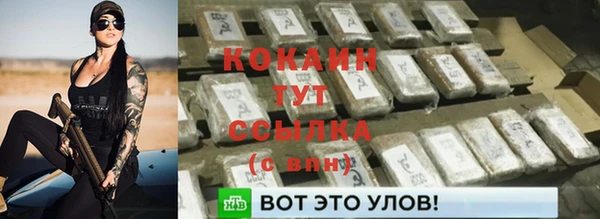 круглые Пересвет