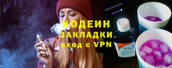 шишки Переславль-Залесский