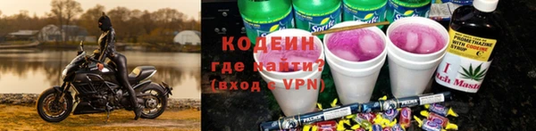 шишки Переславль-Залесский