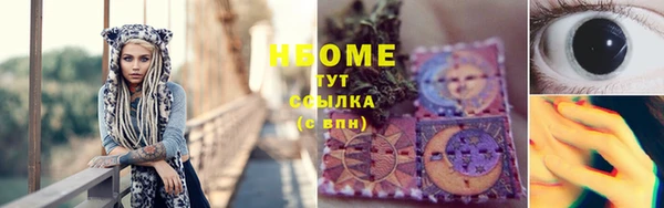 шишки Переславль-Залесский