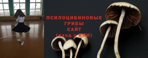 шишки Переславль-Залесский