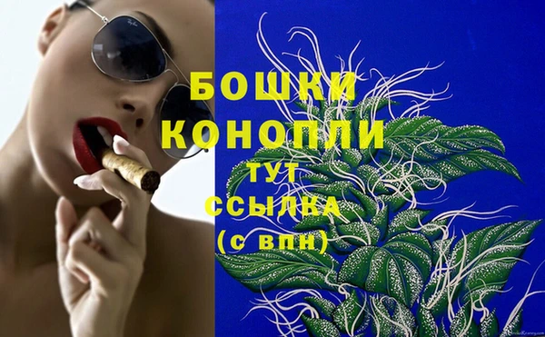 шишки Переславль-Залесский