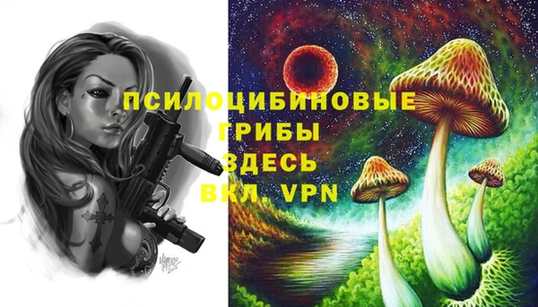 стаф Остров