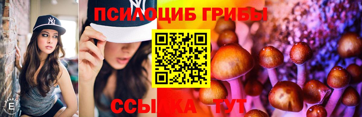 Псилоцибиновые грибы мухоморы Когалым