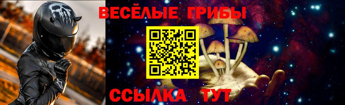 Когалым  Галлюциногенные грибы мухоморы  купить наркоту  Галлюциногенные грибы прущие грибы  Вход с VPN 